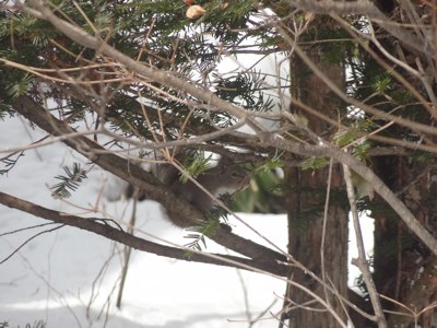 大久保の蕎麦