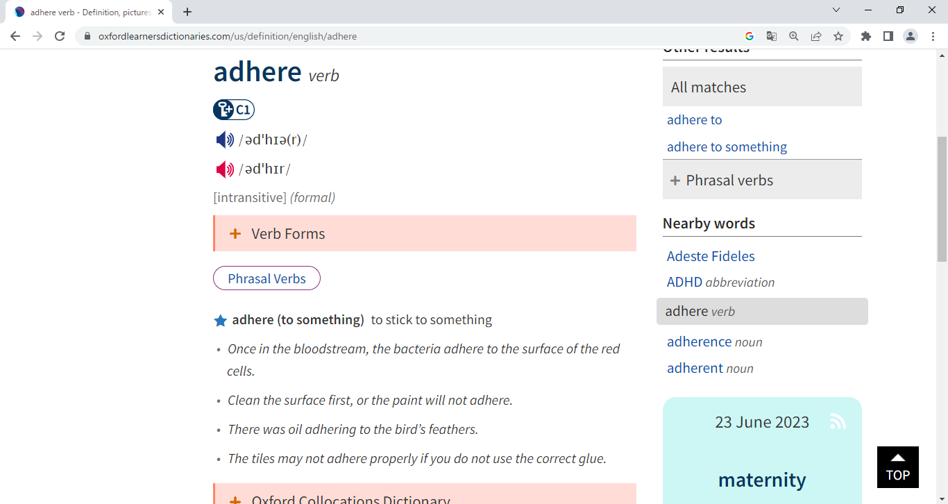 特許翻訳ブログ。Oxfordのadhereの検索結果。